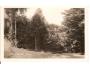 ČESKÁ TŘEBOVÁ /r.1940?*AG205