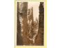 PRACHOVSKÉ SKÁLY / JIČÍN /r.1930*AP38