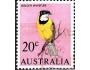 Austrálie 1966 Pták Pachycephala pectoralis, Michel č.370 r
