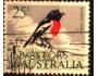 Austrálie 1966 Pták Petroica multicolor, Michel č.372 raz.