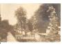 KUKUS - KUKS /SOCHY BRAUN /rok1930?*ca580