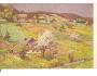 ORLICKÉ HORY / CHATA PANORÁMA /rok1923?*ca672