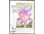SSSR 1960 Květiny, Michel č.2419A raz.