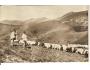 CHOPOK - NÍZKÉ TATRY / SLOVENSKO /rok1946?*OB920