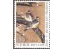 Japonsko 1981 Mezinárodní týden dopisů, obraz Ptáci od Sanra