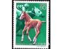 Japonsko 1983 Jezdecký kůň, Michel č.1550 **