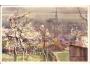 PLZEŇ = mal.ŠETELÍK /rok1914?*AE1155