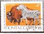 SSSR 1968 Zebra a bizon, Michel č.3545 raz.