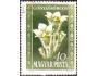 Maďarsko 1950 Květiny, Michel č.1113 raz.