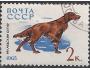 SSSR o Mi.3021 Fauna - plemena psů