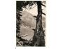 VYSOKÉ TATRY = POPRADSKÉ PLESO /rok1931?*A=2341