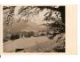 VYSOKÉ TATRY =JAVORINA FOTO F.BUČINA /rok1938?*A=2357