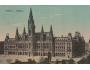 WIEN = RATHAUS =RAKOUSKO =rok1917*BE2452