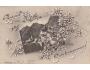 TIROLY =ALPY =HALLSTATT KOLÁŽ=rok1911?*BE2857