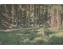 VYSOKÉ TATRY =KAČVINSKÉHO STUDNĚ /rok1921? *BE3953