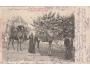 EGYPT =BEDUINI A VELBLOUD/rok1900?*BE4157