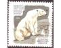 SSSR 1964 Lední medvěd, 100 let ZOO Moskva, Michel č. 2916A