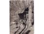 SRNKA U KRMELCE=ZOO /r.1960-90?*UF7484