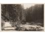 KRKONOŠE ŠPINDLERŮV MLÝN WEBERWEG FOTO W. PFOHL °K219
