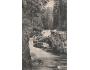 KRKONOŠE PARTIE Z BÍLÉHO LABE r.1914 F. PIETCHMANN °K246