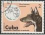 Kuba o Mi.2092 Pokrok veterinární péče - pes /K