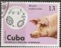 Kuba o Mi.2095 Pokrok veterinární péče - prase /K