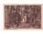 POTŠTÝN=ORLICKÉ HORY=rok1920*R1145
