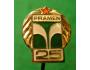 Odznak PRAMEN 25 LET /31