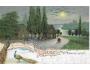 PFAUENINSEL /r.1900 /M 362-155+156