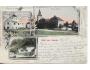 STAREIN / r.1905 / M364-45+46