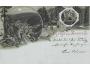 BERNECK / r.1901 / M364-51+52