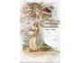 JAHRESWECHSEL/ r.1900 / M364-125+126
