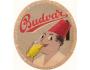 BUDVAR AH13