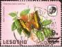 Lesotho motýle