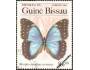 Guinea Bissau motýle