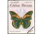 Guinea Bissau motýle