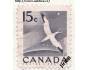 Kanada o Mi.0288A fauna - ptáci - terej bílý