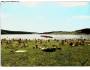 Šumava Lipno přehrada pláž a41
