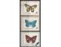 Bulharsko o Mi.1540ad Fauna - motýli 3x