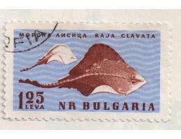 Bulharsko o Mi.1248 Fauna Černého moře
