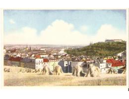 BRNO /r.1925 /M207-71