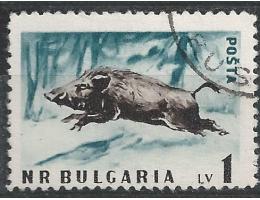 Bulharsko o Mi.1063 Fauna - divoké prase