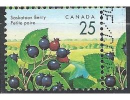 Kanada o Mi.1313-okraj -  Flora - lesní plody