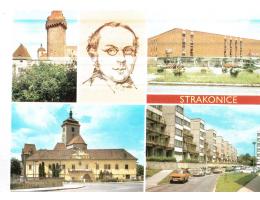 STRAKONICE  OKÉNKOVÁ    ***53743K