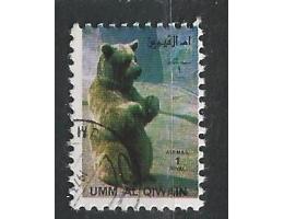 Umm Al Qiwain o - fauna - medvěd  /c2