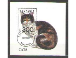 Kočka, kočky, fauna - Tanzania