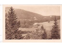 ŠUMAVA=VILY NA ŠPIČÁKU=FOTO SEIDEL=rok1922*ac4315