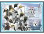 NE2-Gabon-tučňáci o