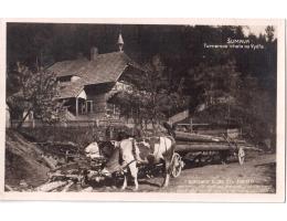 Šumava  r.1924  Turnerova chata krávy povoz 770  ***53615IA