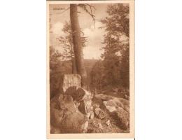 ČERCHOV /ŠUMAVA /r.1926 /M171-26